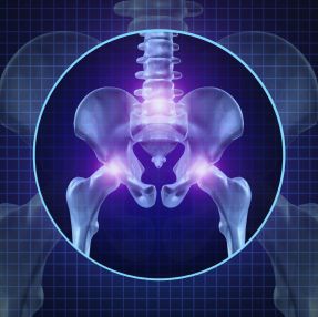 Illustration of pelvic bone